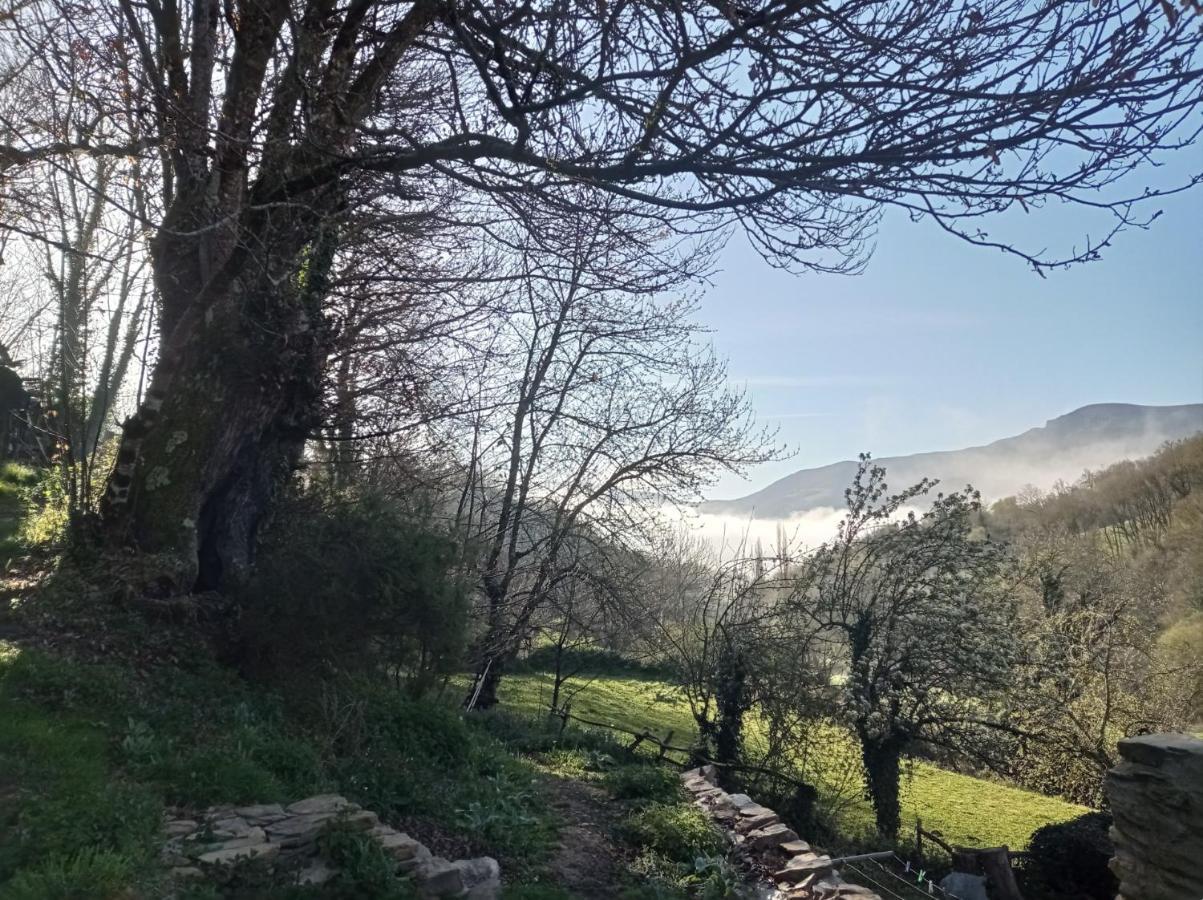 Albergue Eco El Beso - Vegano Triacastela Εξωτερικό φωτογραφία