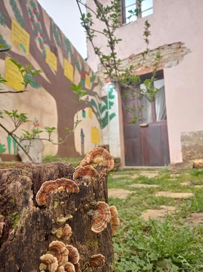 Albergue Eco El Beso - Vegano Triacastela Εξωτερικό φωτογραφία